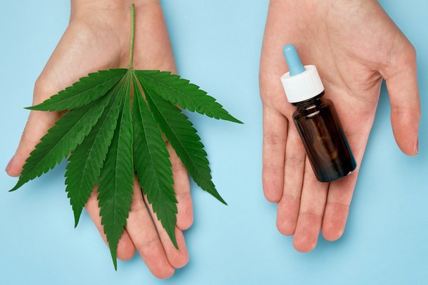 Les meilleures options de chanvre bio pour favoriser votre bien-être