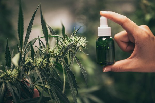 Les bienfaits de l'huile de cbd pour améliorer les performances sportives